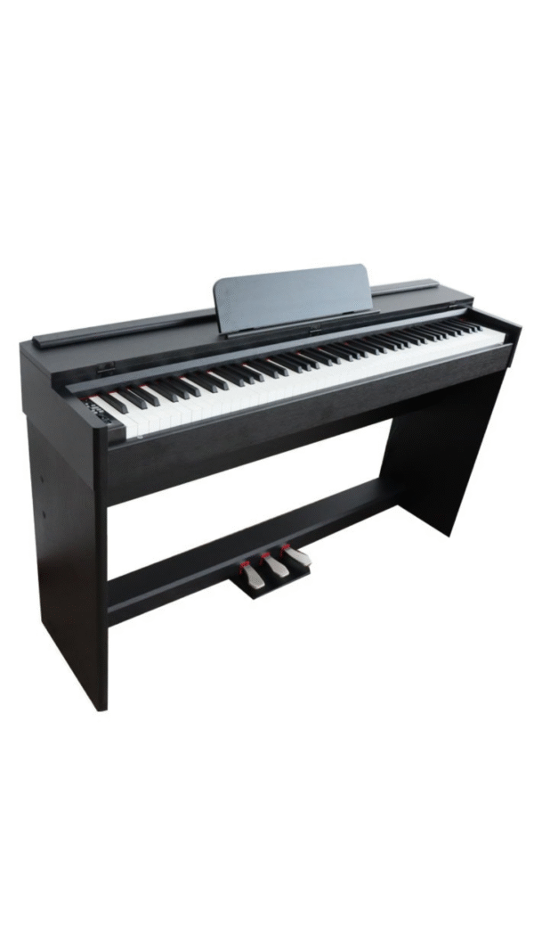 Piano Electronico Dp600 Negro